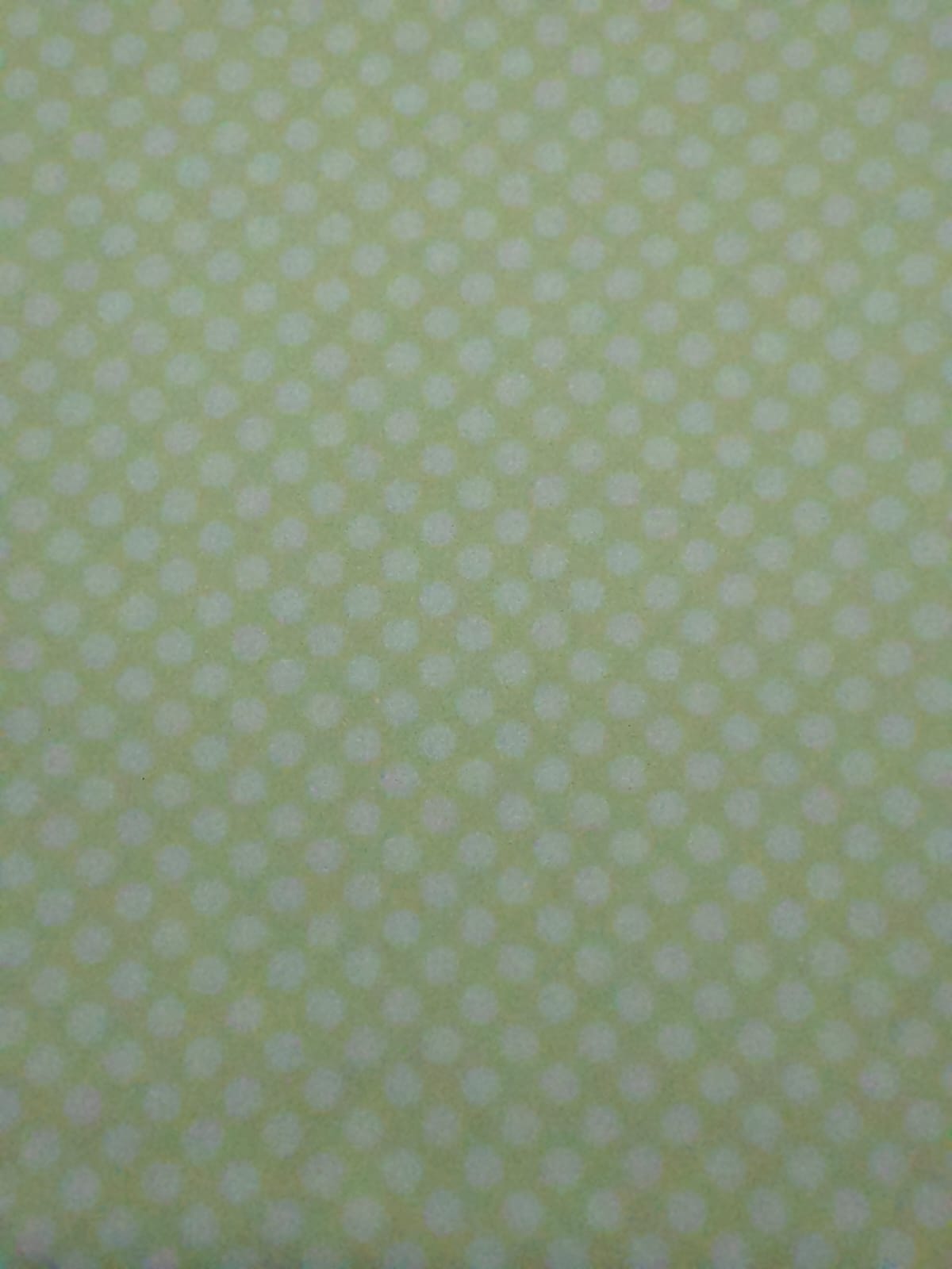 250131