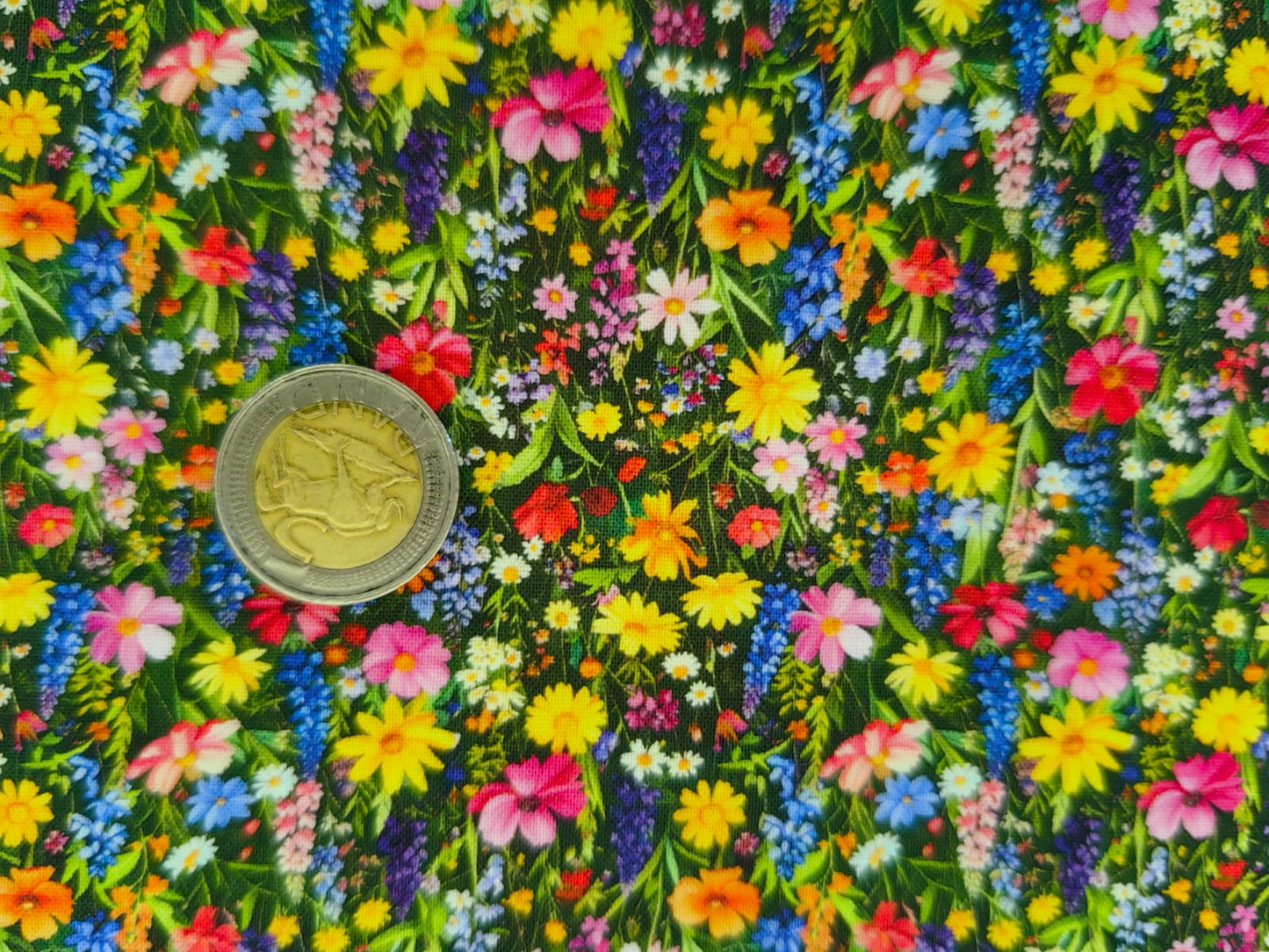 2650-2