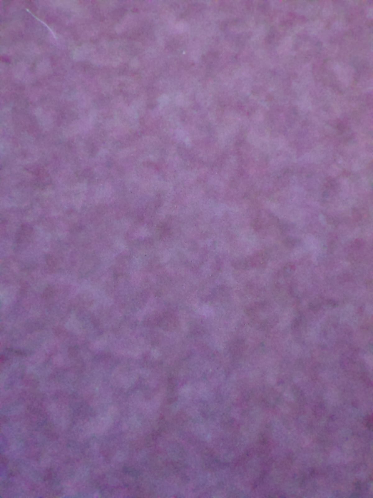 250113