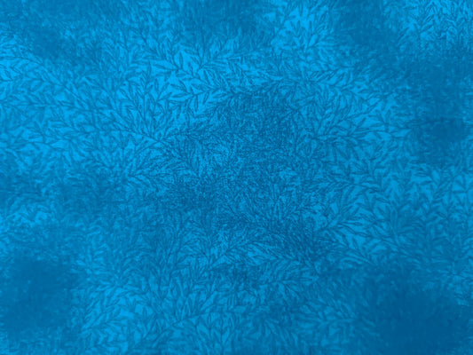 576/8